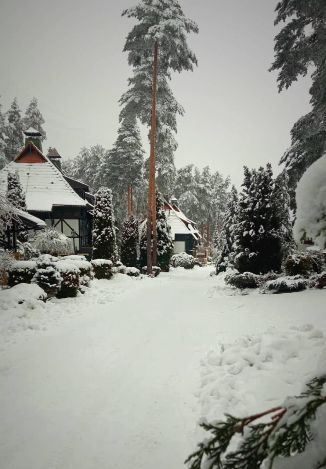 Apartamento Matija Lux Konaci Zlatibor Exterior foto