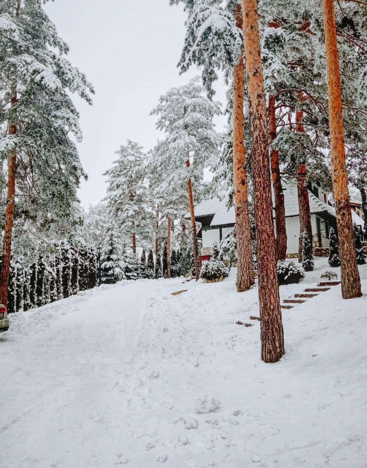 Apartamento Matija Lux Konaci Zlatibor Exterior foto