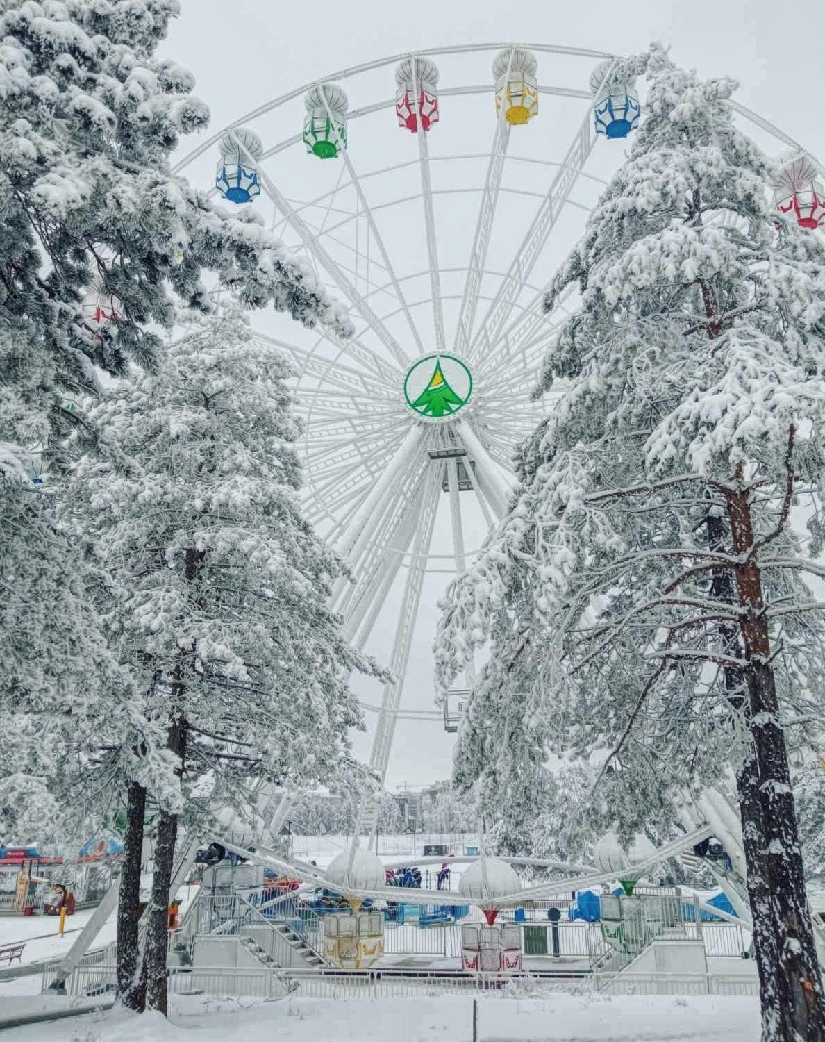 Apartamento Matija Lux Konaci Zlatibor Exterior foto