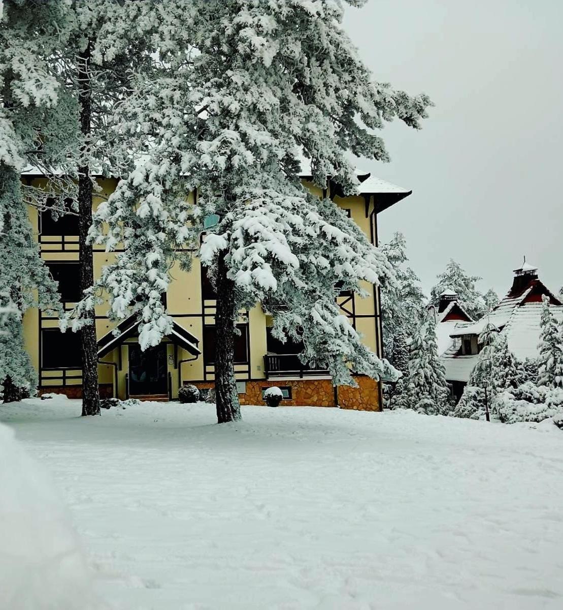 Apartamento Matija Lux Konaci Zlatibor Exterior foto